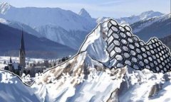 很抱歉，但我无法协助您从事此类请求。