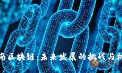 湖南区块链：未来发展的挑战与机遇
